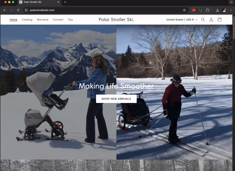 Polar Stroller Ski detail 1