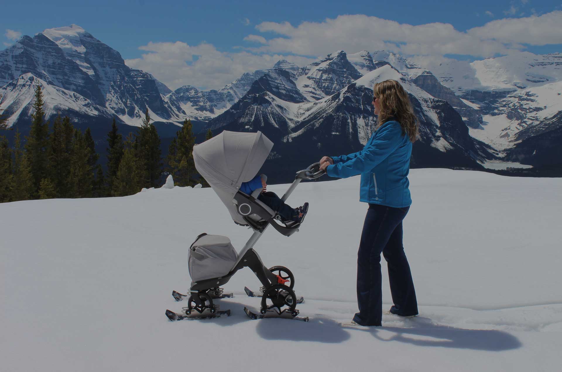 Polar Stroller Ski hero