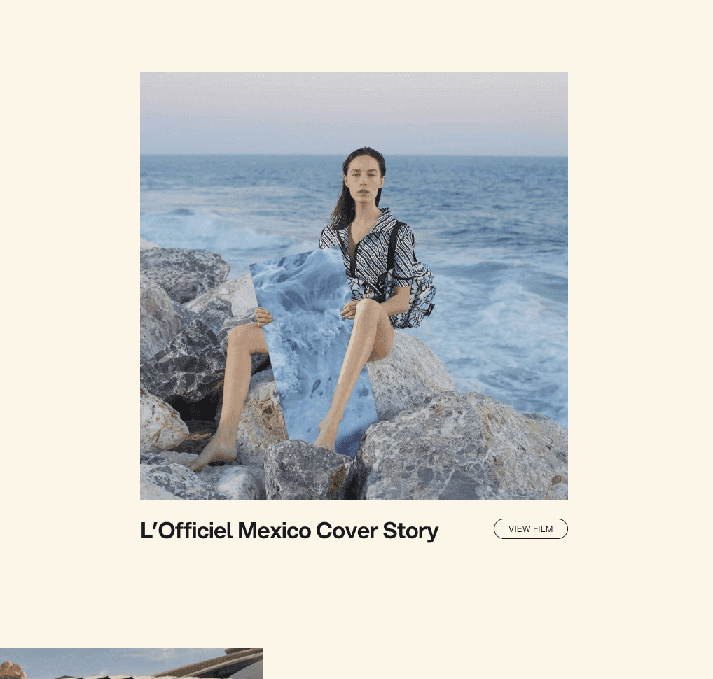 Triana Studio detail 3